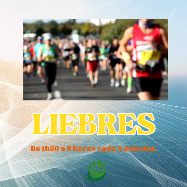 Liebres en la 45ª edición de la Media Maratón Vitoria-Gasteiz 